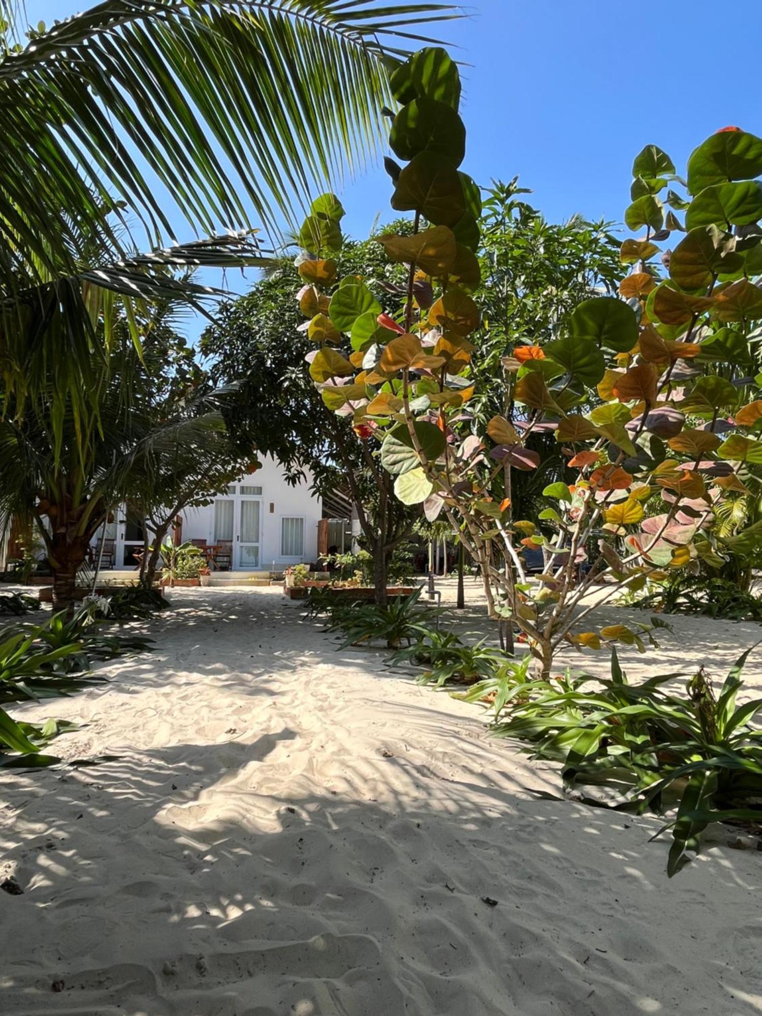 Robinson Beach Bungalow Vinh Hoa Eksteriør bilde