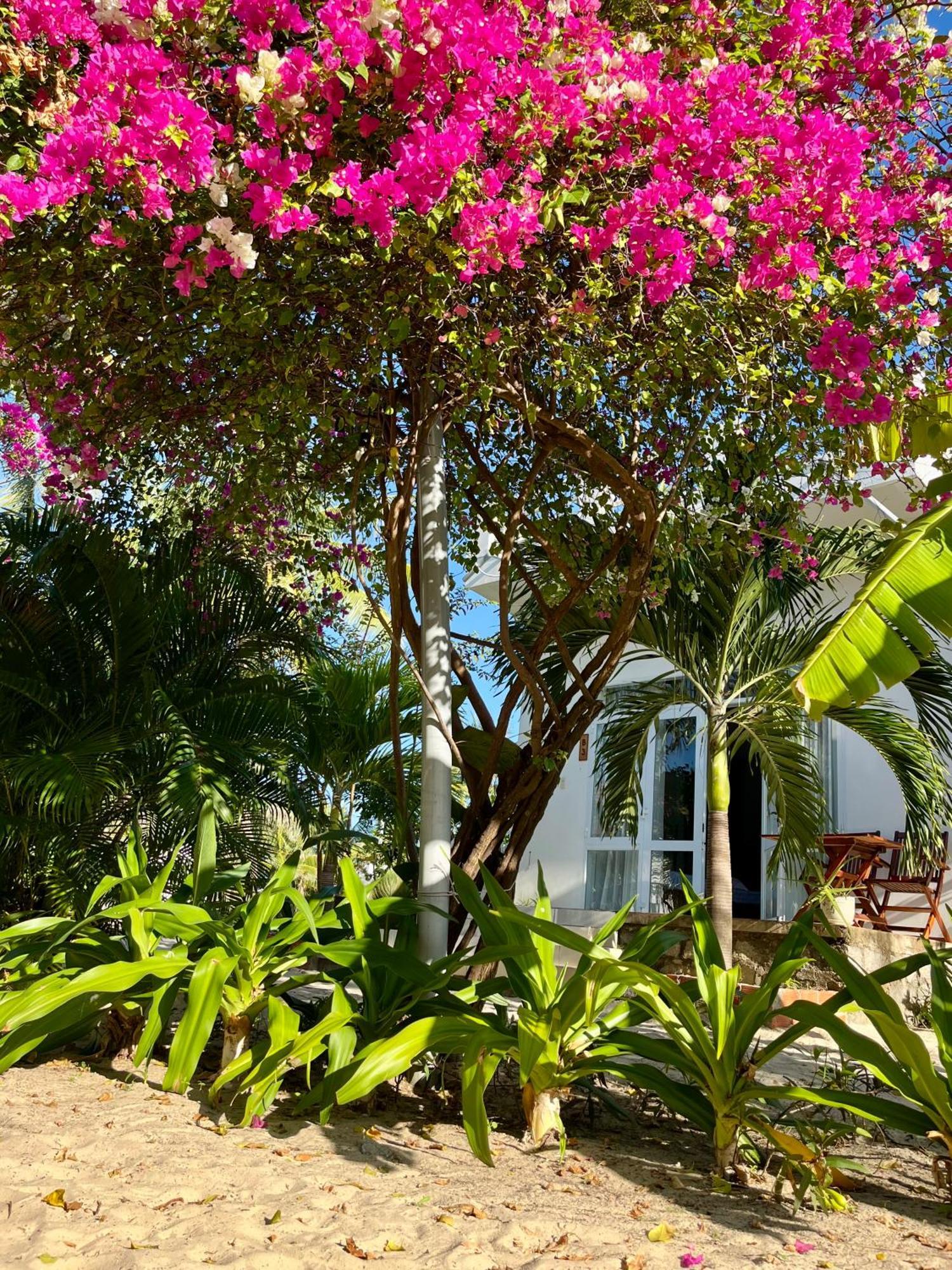 Robinson Beach Bungalow Vinh Hoa Eksteriør bilde